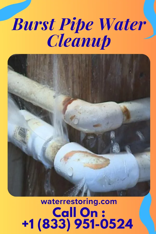 Burst Pipe Water Cleanup in Madison, WV