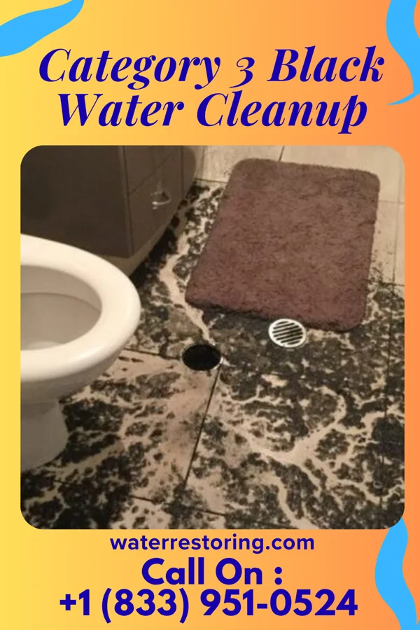 Category 3 Black Water Cleanup in Madison, WV