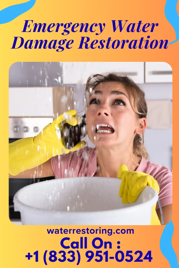 Emergency Water Damage Restoration in Madison, WV