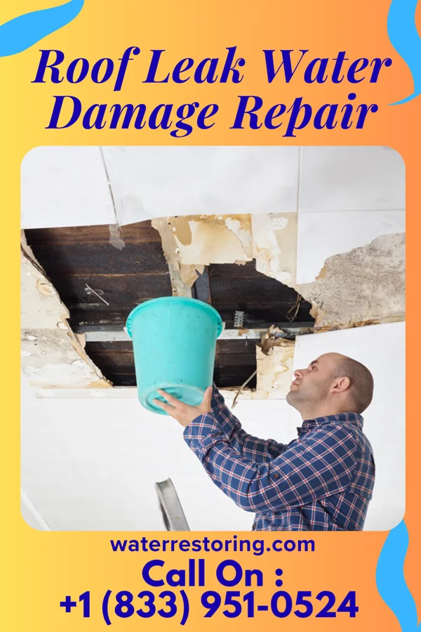 Roof Leak Water Damage Repair in Madison, WV
